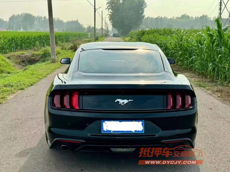 济宁19年福特野马9
