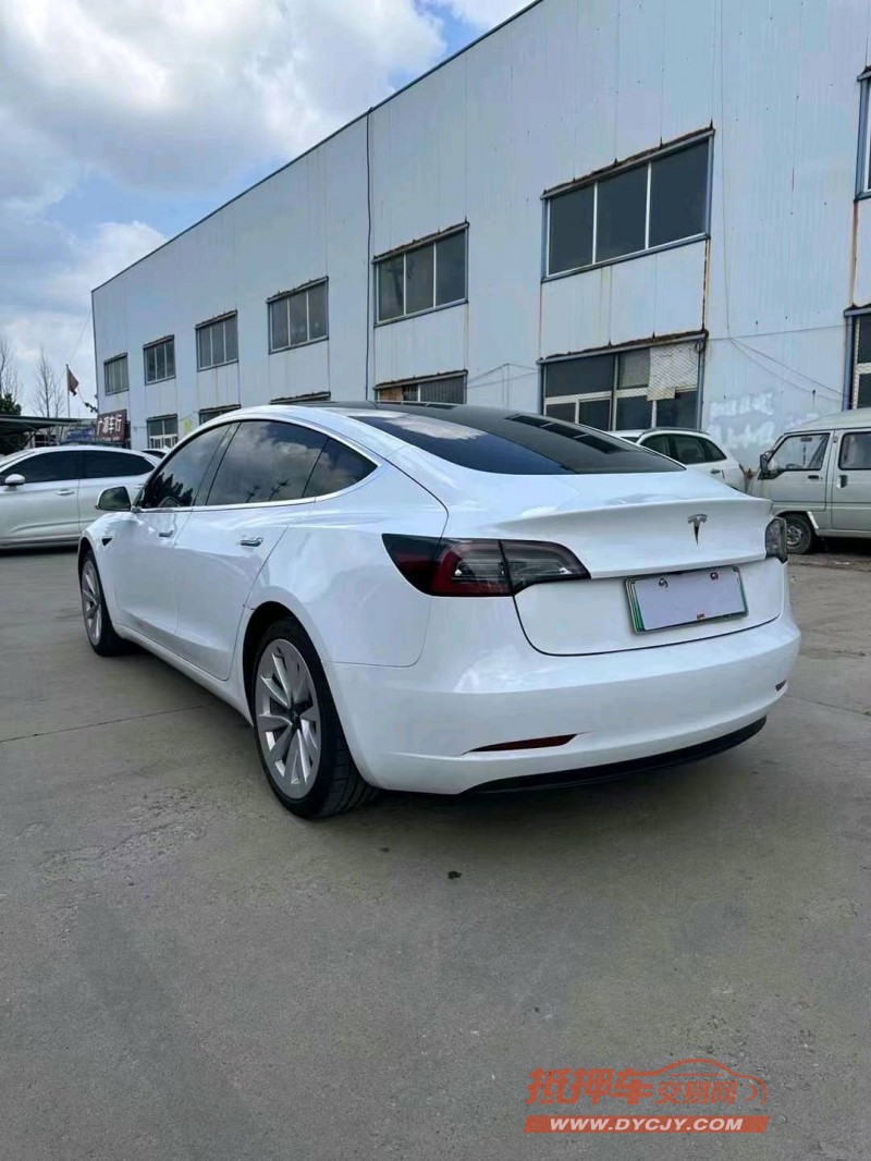 煙臺20年特斯拉MODEL 32