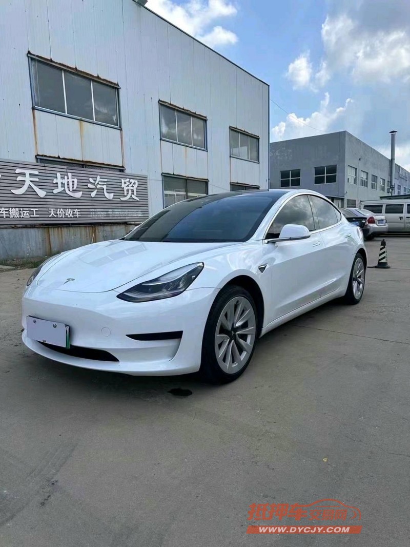 煙臺20年特斯拉MODEL 34
