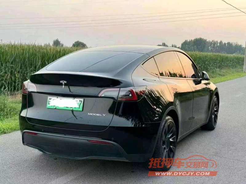 濰坊22年特斯拉MODEL Y4