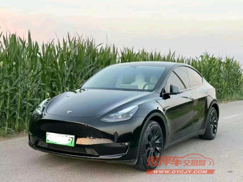 濰坊22年特斯拉MODEL Y8