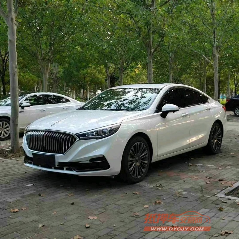 济南20年红旗H53