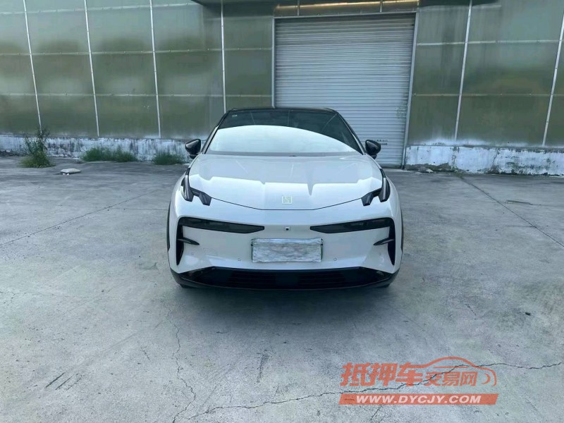 徐州23年極氪汽車X1