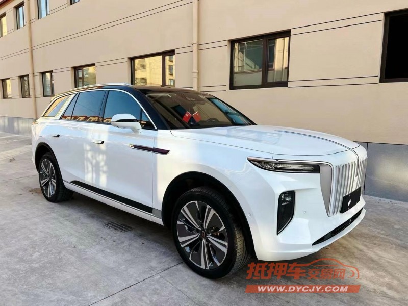 潍坊21年红旗HS93