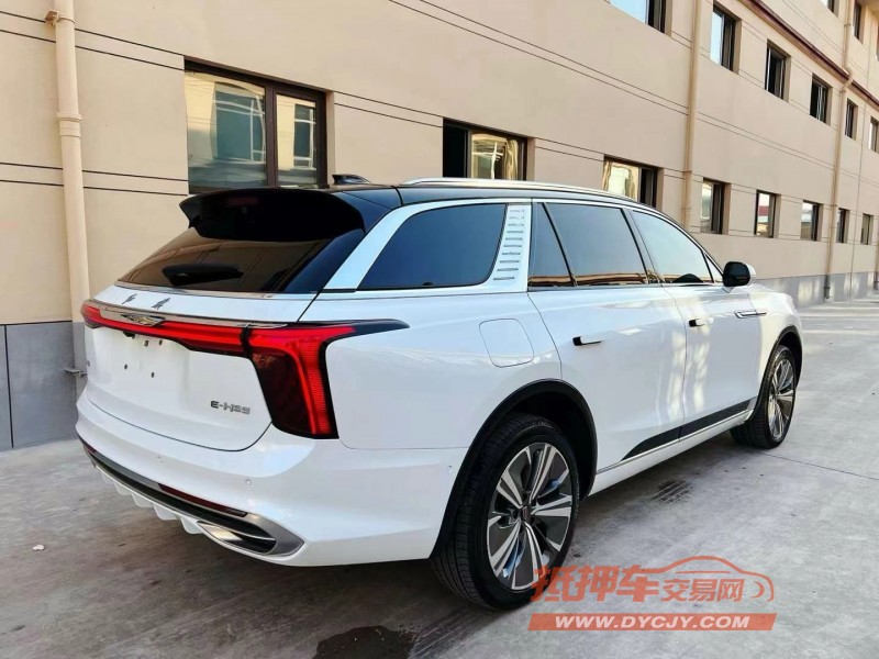 潍坊21年红旗HS98