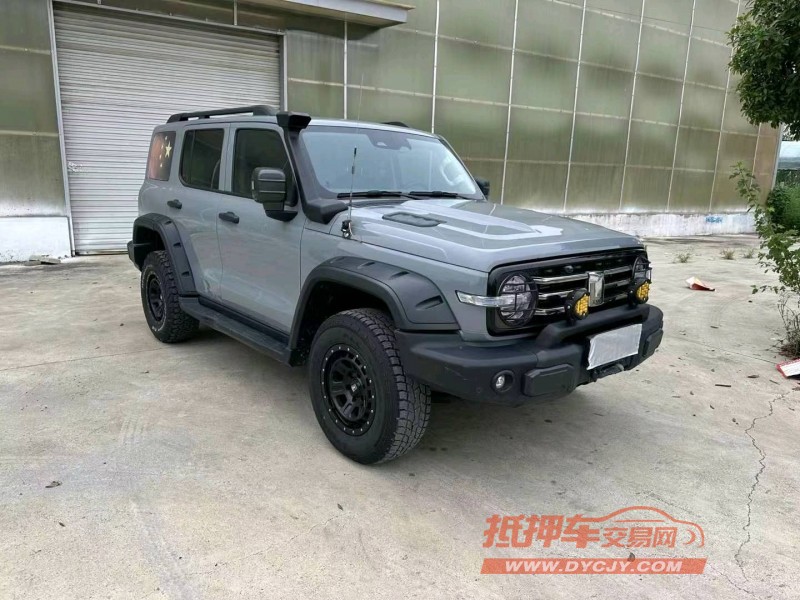 徐州21年長城汽車坦克3003