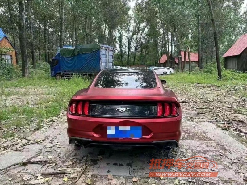 菏泽18年福特野马3