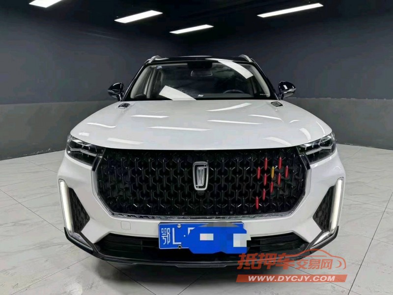 成都20年奔騰T991