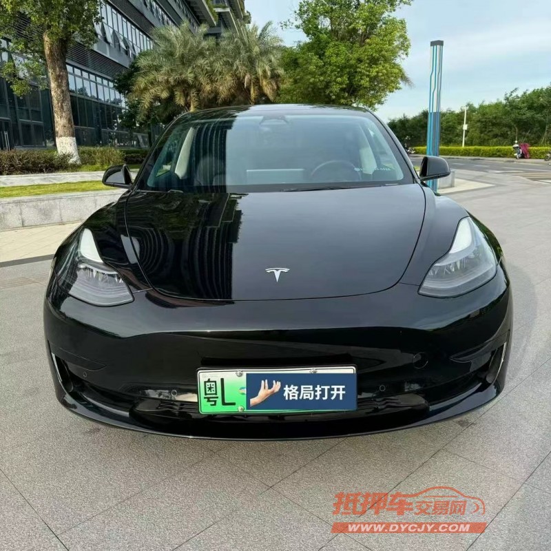 東莞22年特斯拉MODEL 31