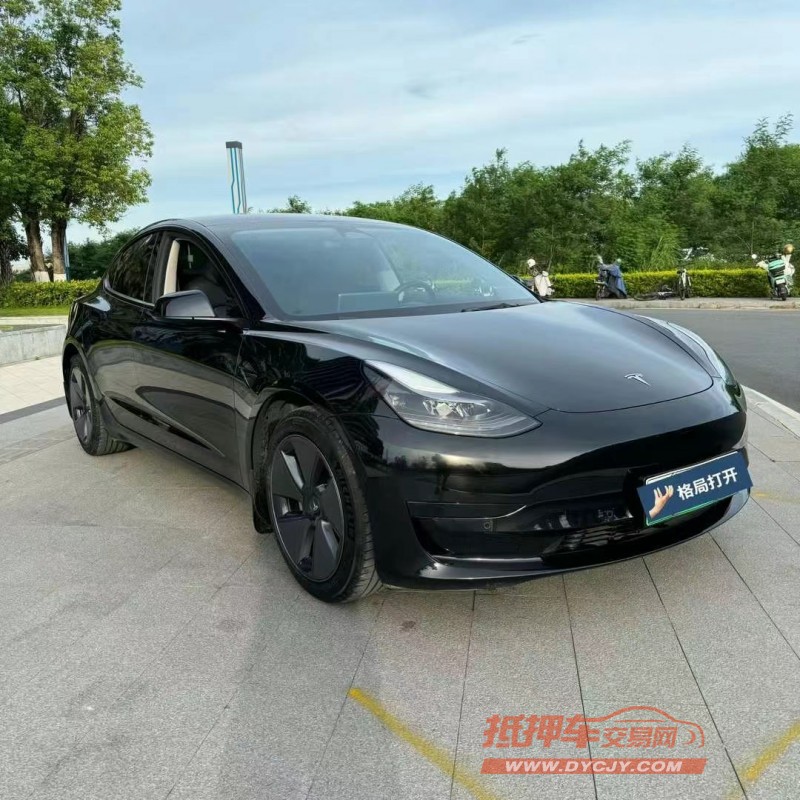 東莞22年特斯拉MODEL 32