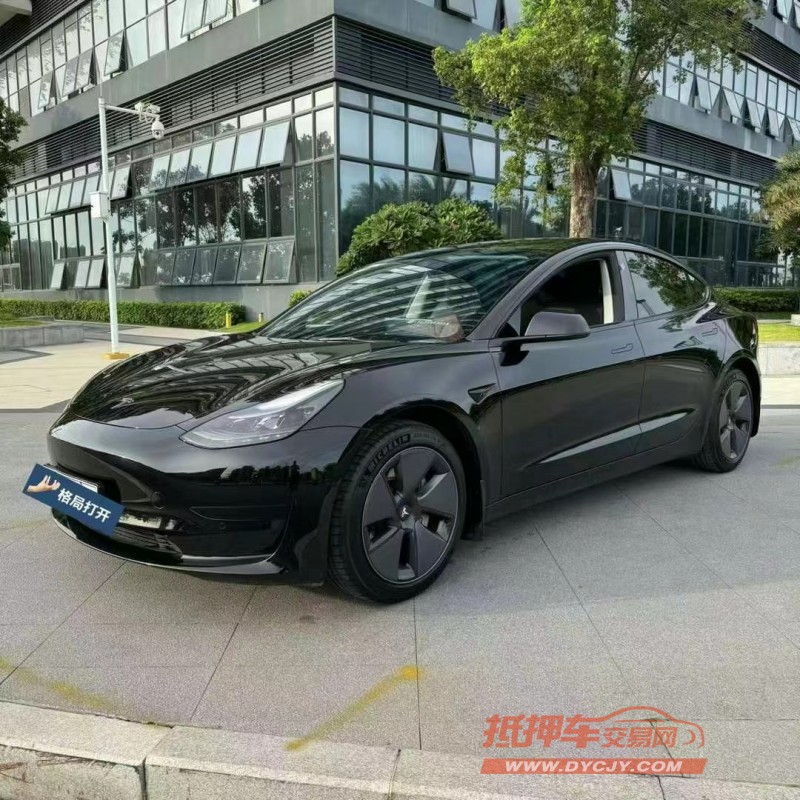東莞22年特斯拉MODEL 33