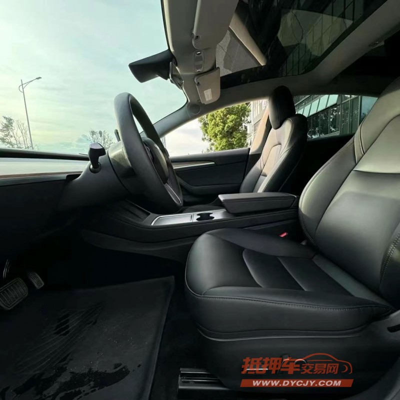 東莞22年特斯拉MODEL 34