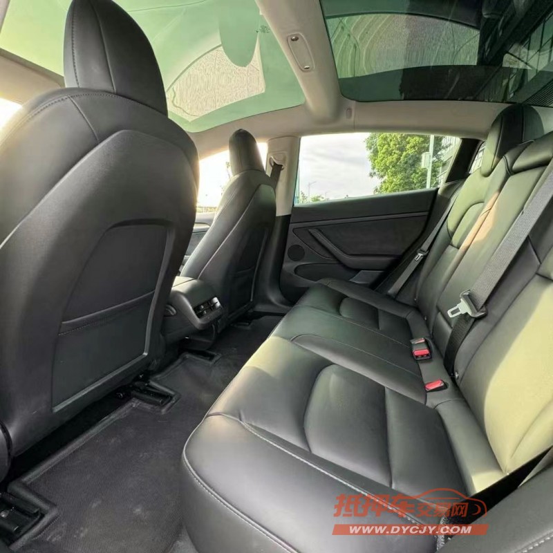 東莞22年特斯拉MODEL 35