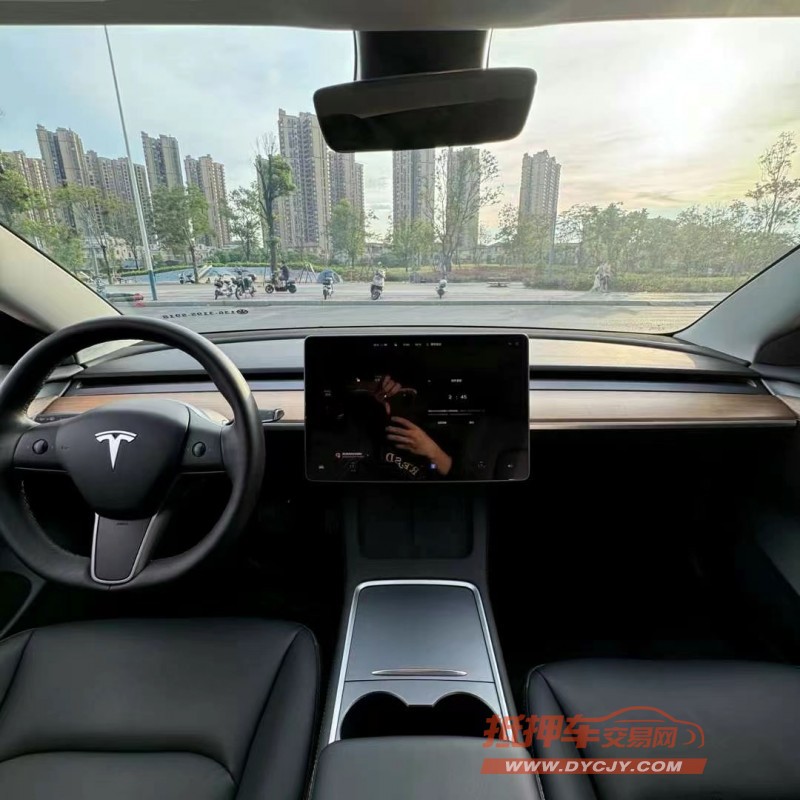 東莞22年特斯拉MODEL 36