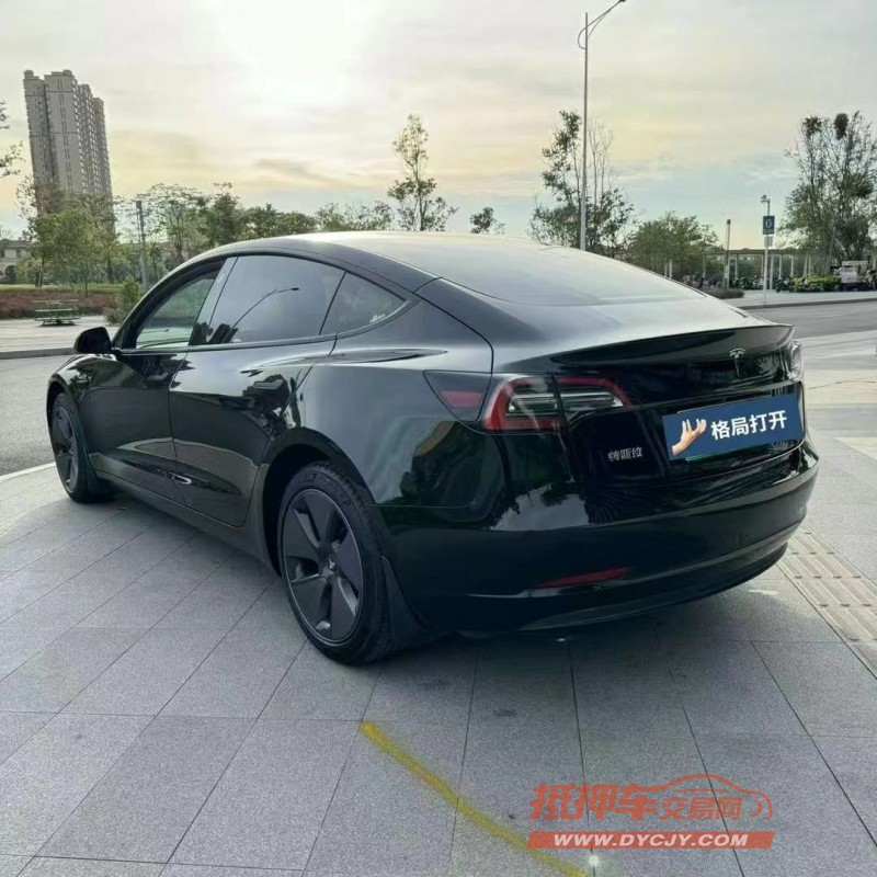 東莞22年特斯拉MODEL 37
