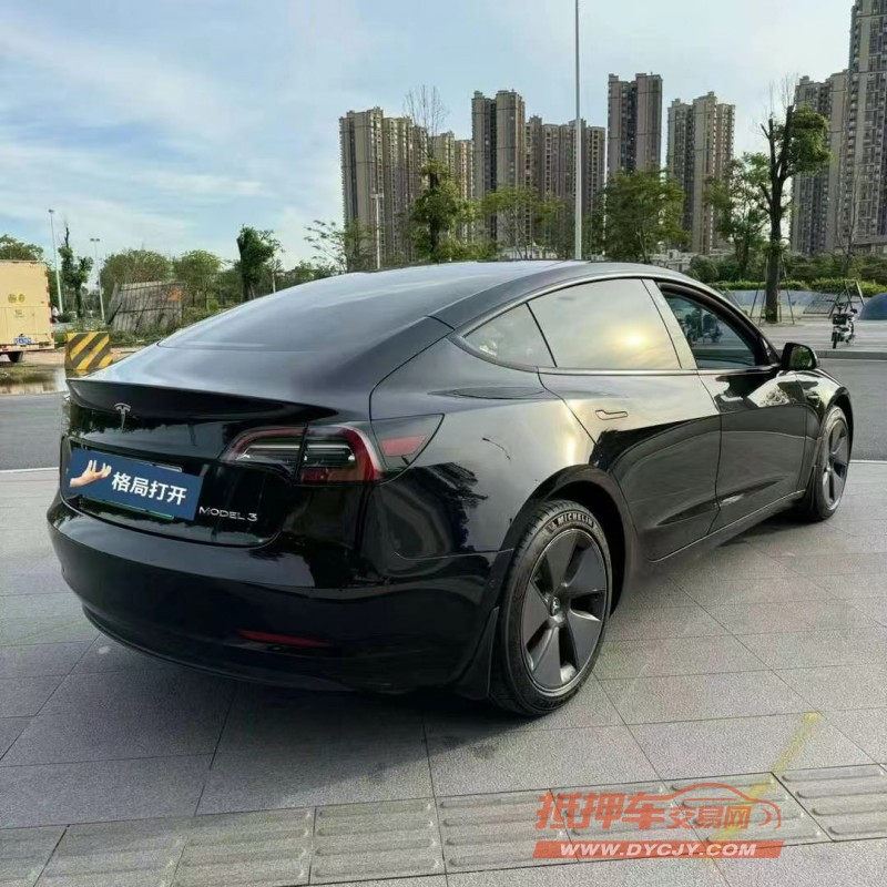 東莞22年特斯拉MODEL 38