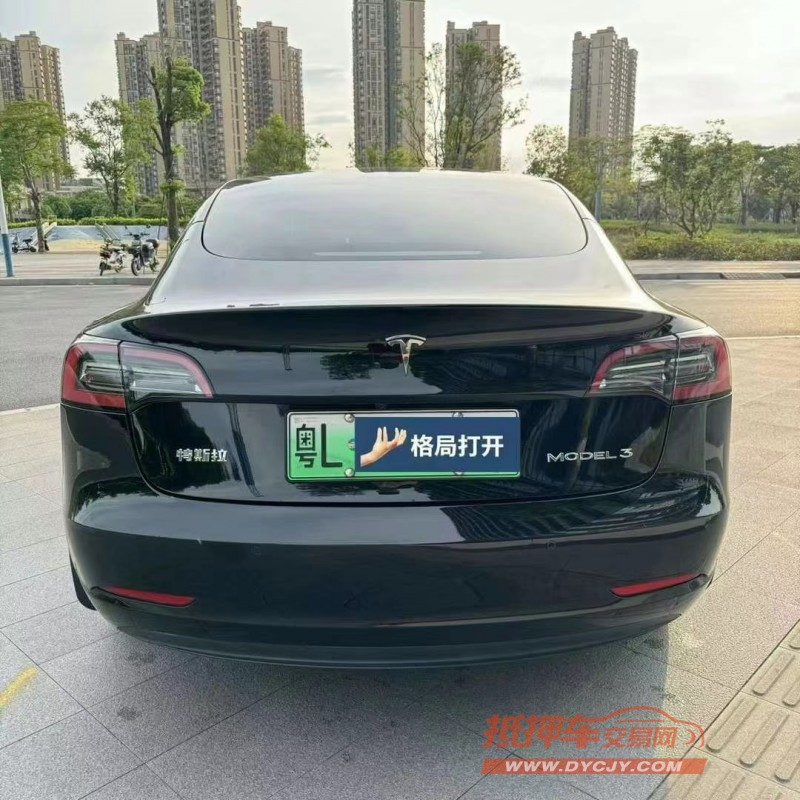 東莞22年特斯拉MODEL 39