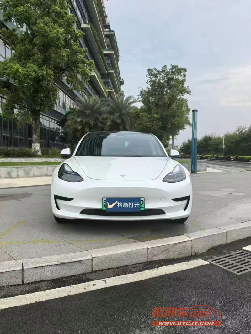 東莞23年特斯拉MODEL 31