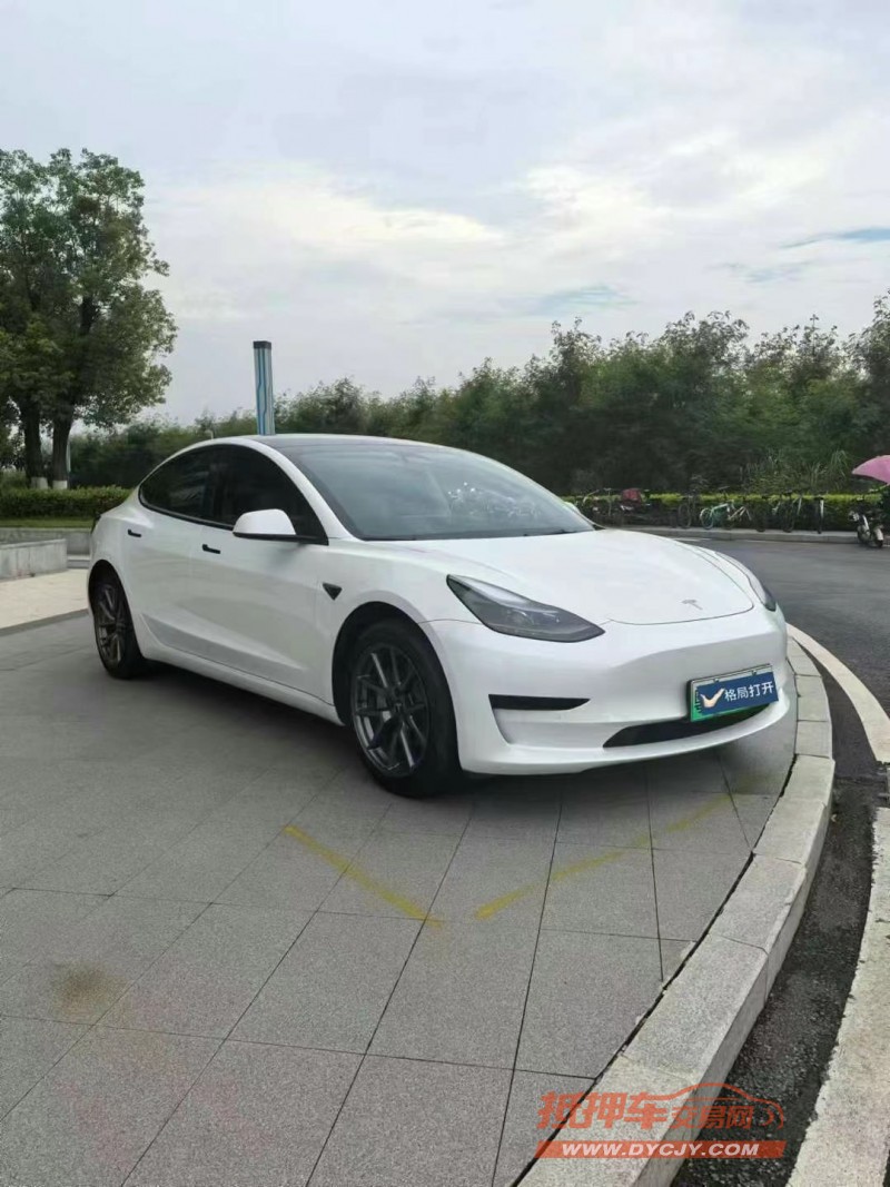 東莞23年特斯拉MODEL 32