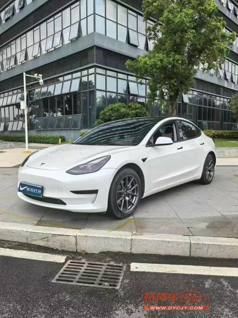 東莞23年特斯拉MODEL 33