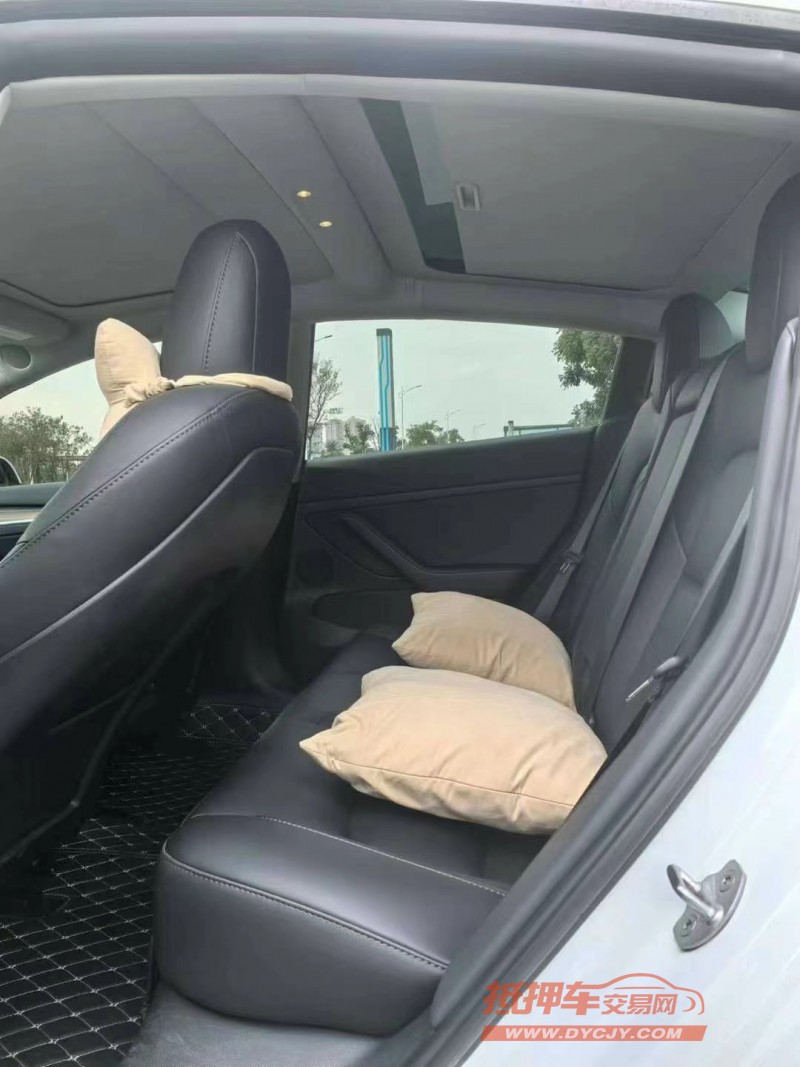 東莞23年特斯拉MODEL 36