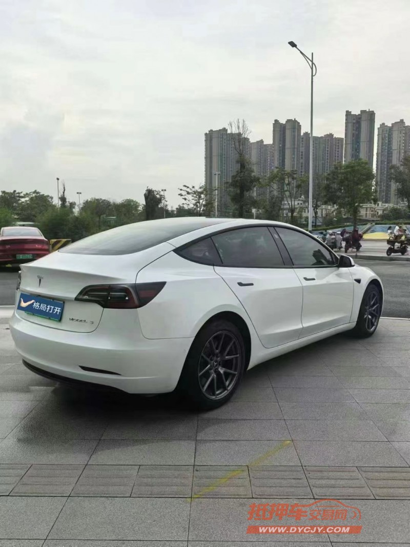 東莞23年特斯拉MODEL 38