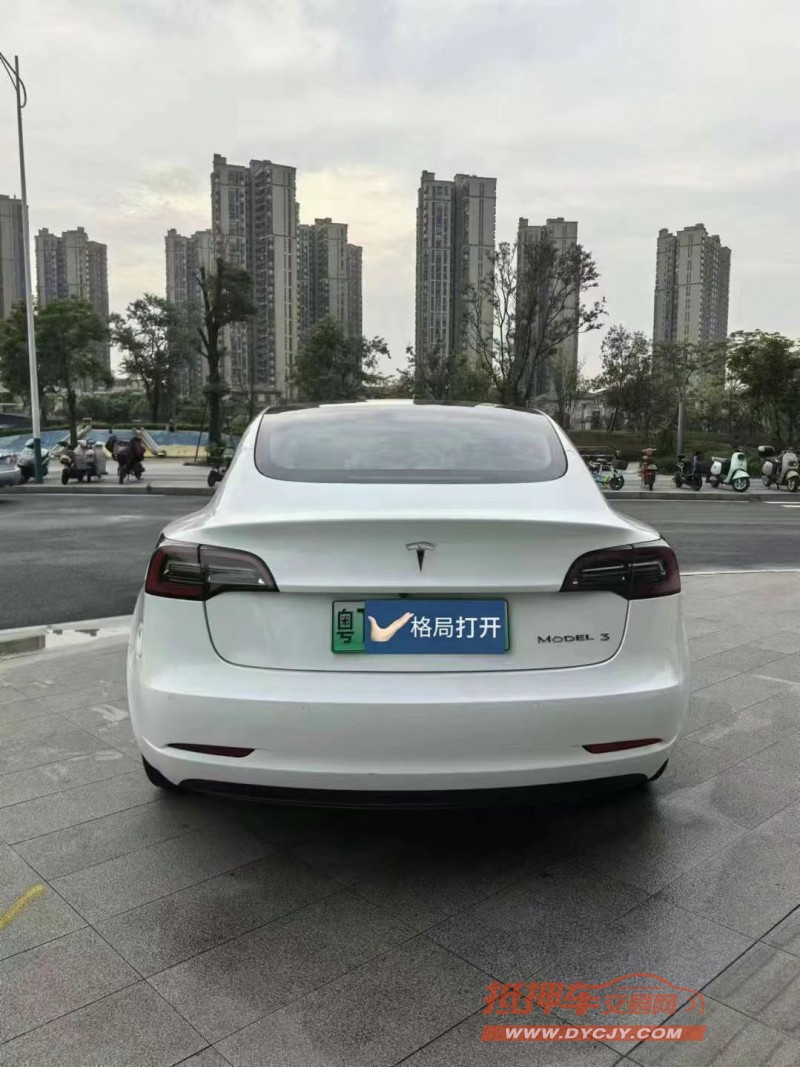 東莞23年特斯拉MODEL 39