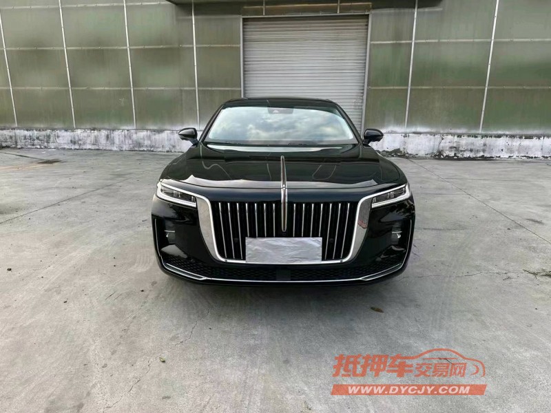 徐州20年红旗H91