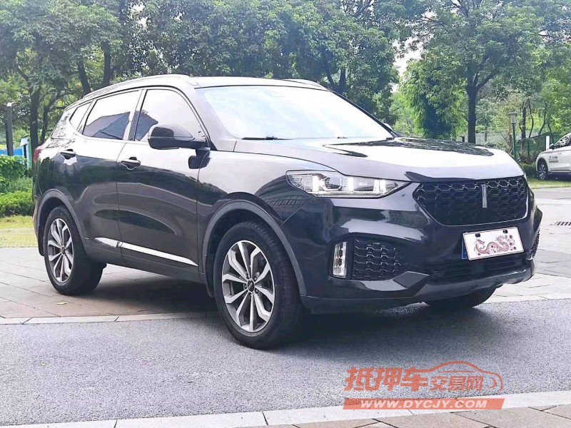 佛山19年長城汽車WEY VV63