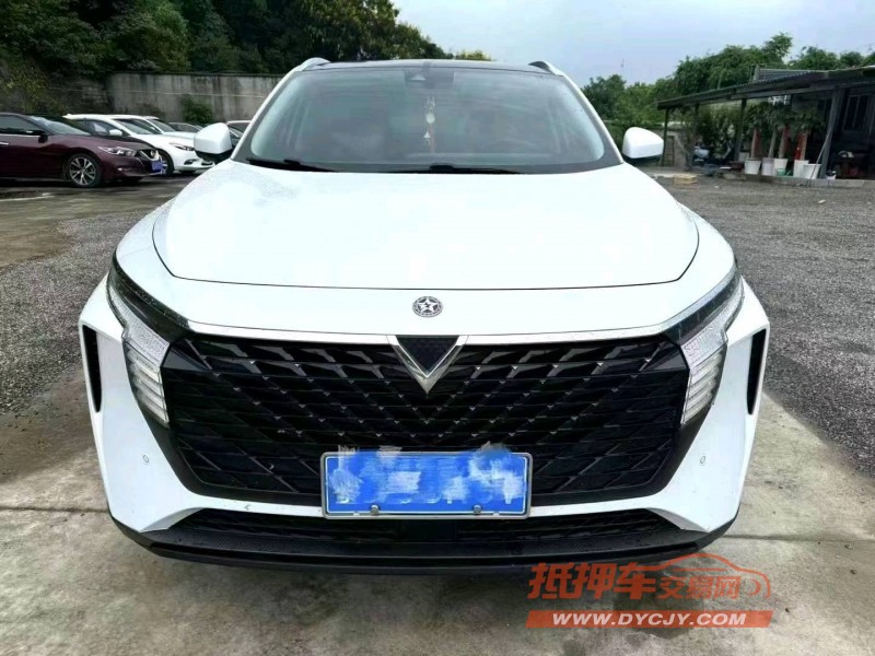 鄂州23年啟辰大V1