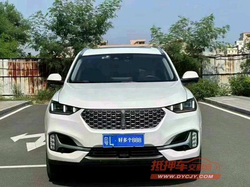 東莞21年長城汽車WEY VV61