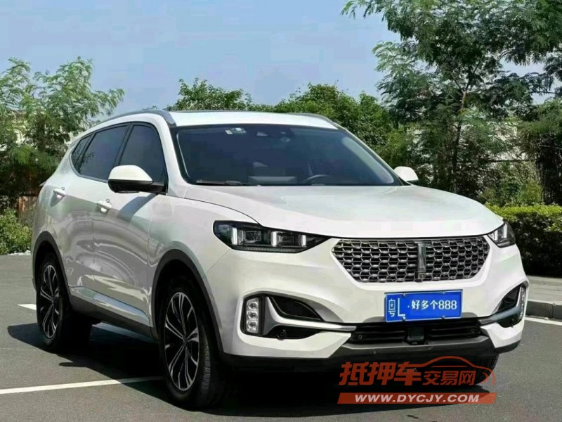 東莞21年長城汽車WEY VV62