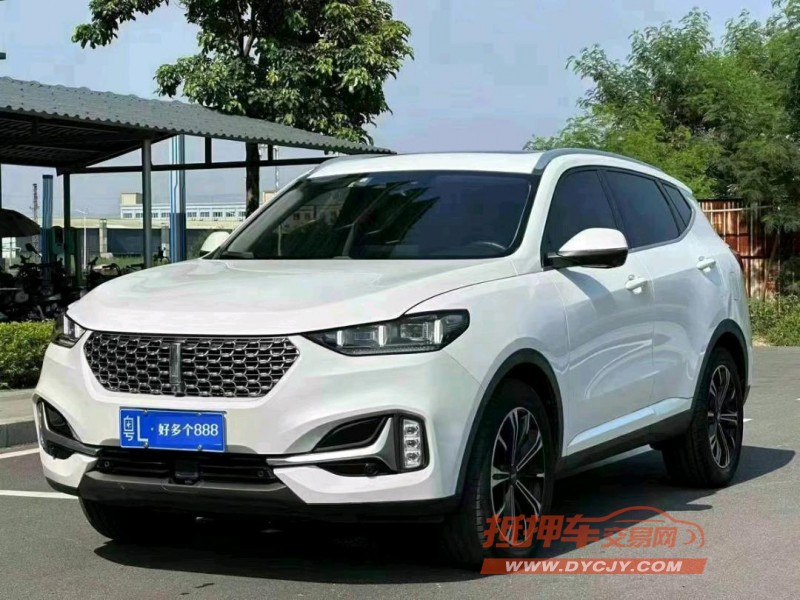 東莞21年長城汽車WEY VV63