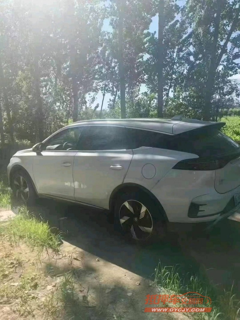 保定24年比亚迪唐4