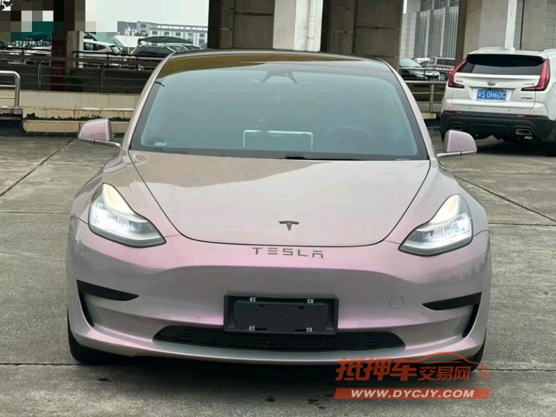 東莞20年特斯拉MODEL 31
