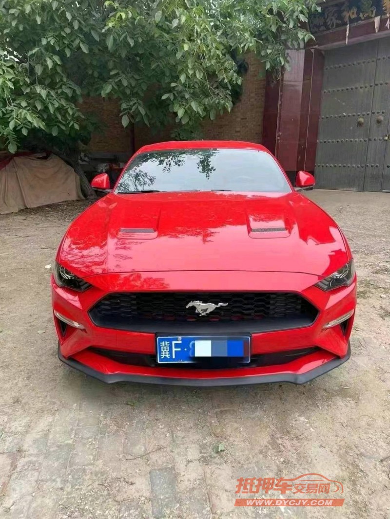 沧州21年福特野马1