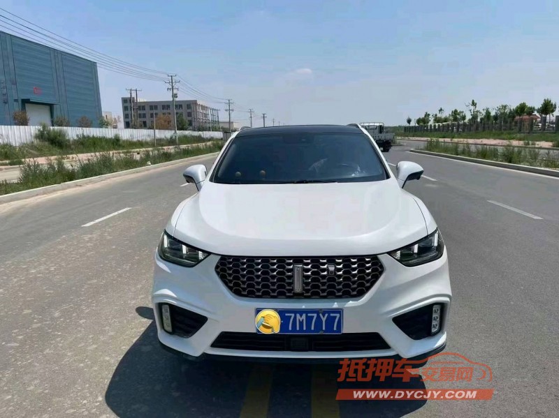 滄州20年長城汽車WEY VV51
