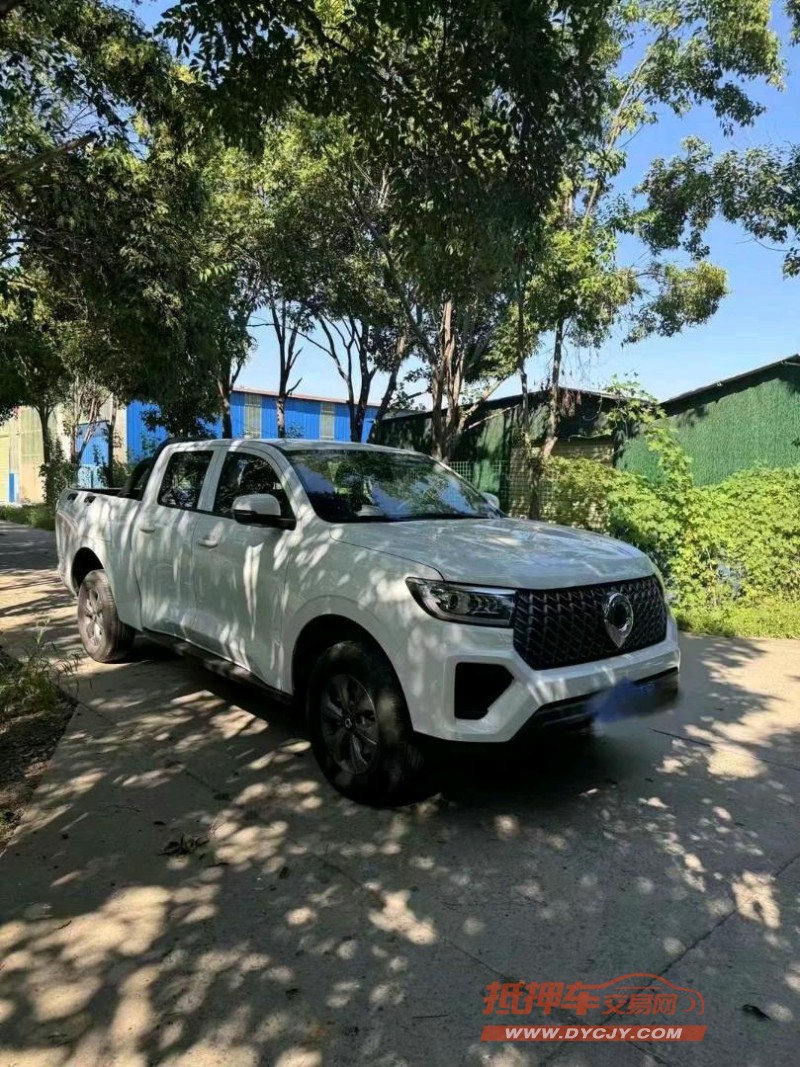 濰坊24年長城汽車炮 皮卡2