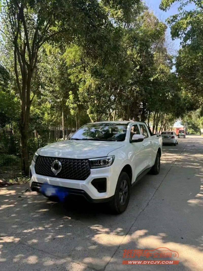 濰坊24年長城汽車炮 皮卡8