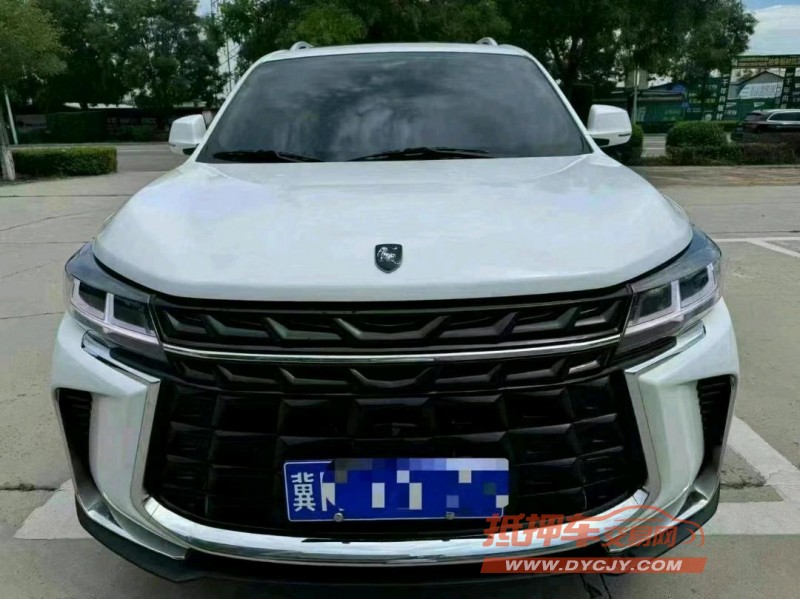 保定24年东风T51