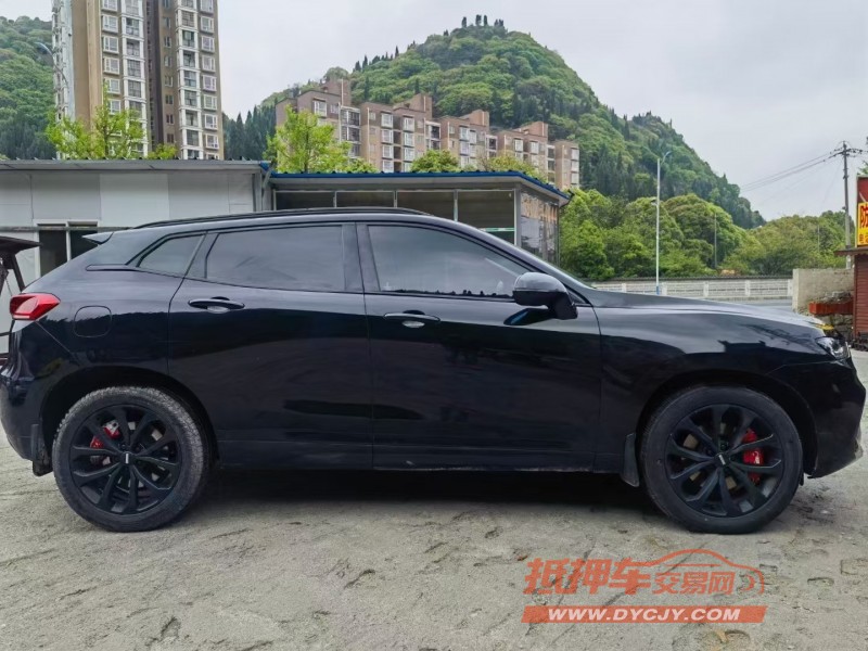 安順17年長城汽車WEY VV74