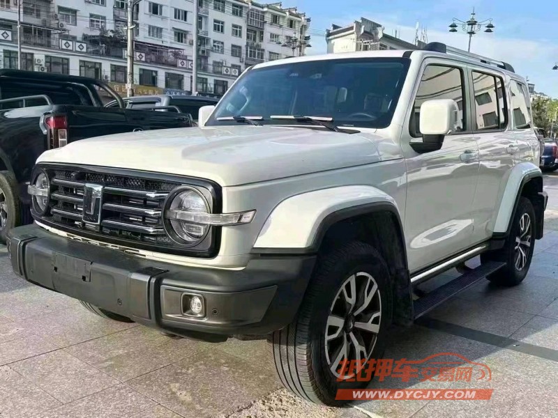 合肥22年長城汽車坦克3002