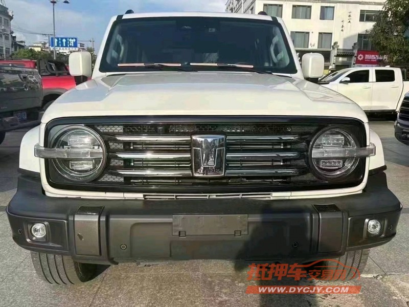 合肥22年長城汽車坦克3001