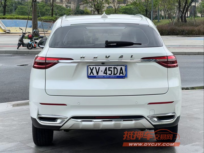 东莞20年哈弗F79