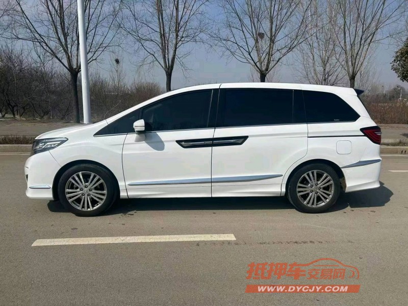 枣庄19年本田艾力绅7