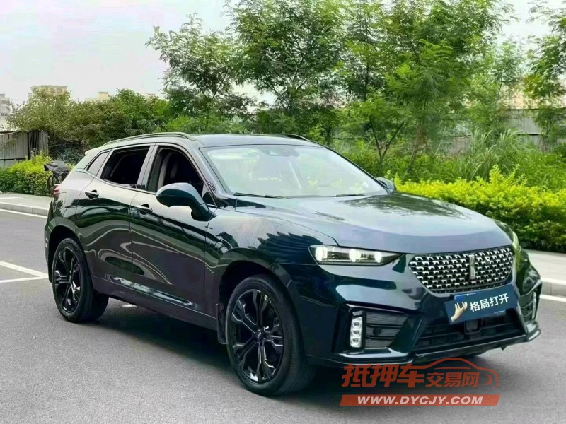 東莞20年長城汽車WEY VV72