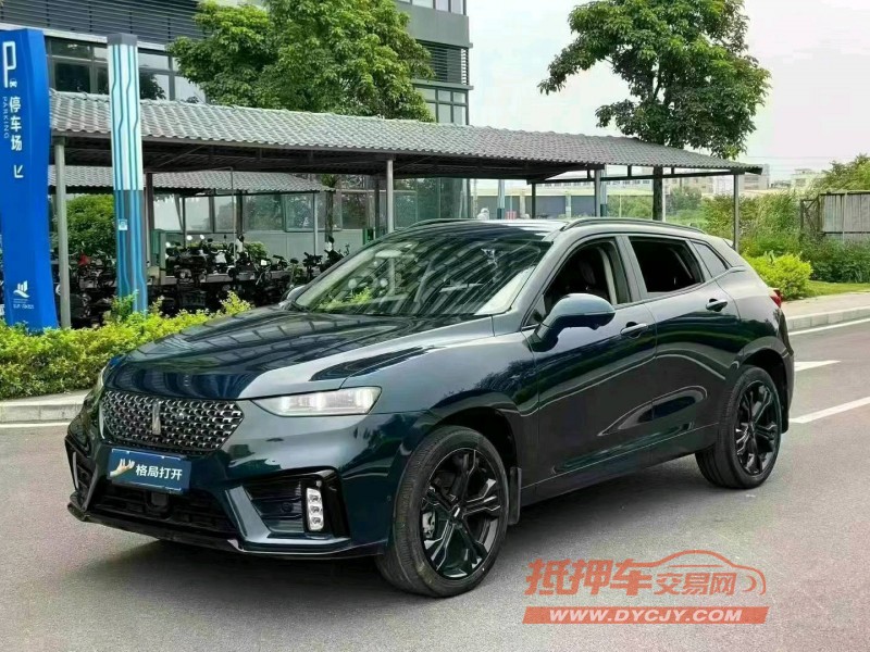 東莞20年長城汽車WEY VV73