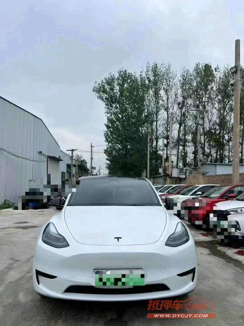 菏澤23年特斯拉MODEL Y1