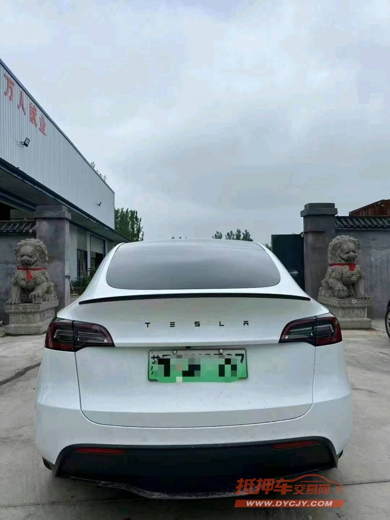 菏澤23年特斯拉MODEL Y9
