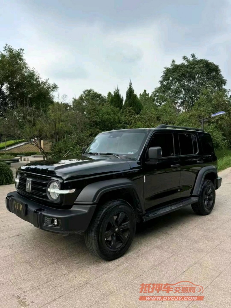 邢臺23年長城汽車坦克3002